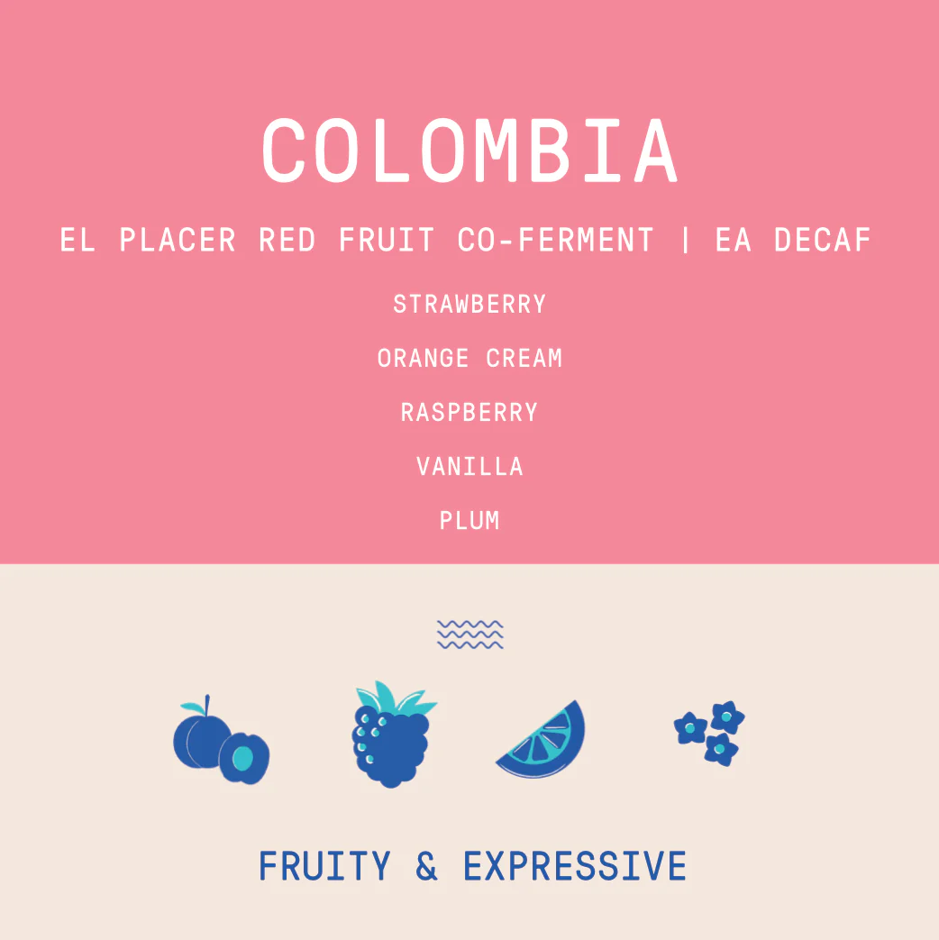 Colombia - El Placer | Red Fruit Co-Fermented EA Decaf - Image 2