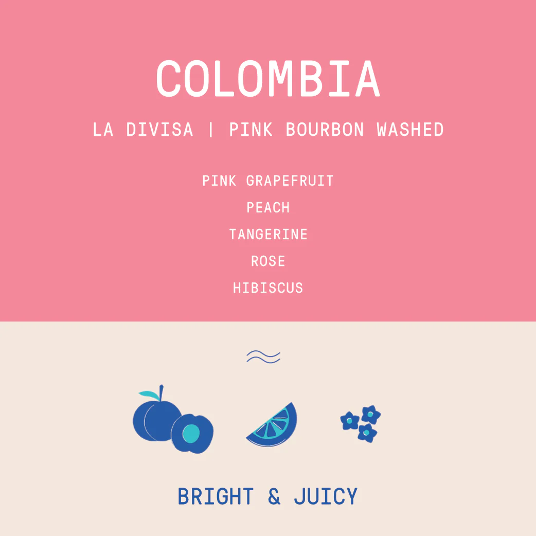Colombia - La Divisa | Pink Bourbon Washed - Archived - Image 2