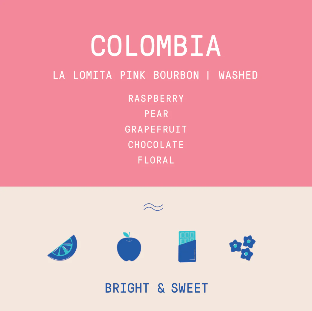 Colombia - La Lomita Eulises Guzman | Pink Bourbon Washed - Archived - Image 2