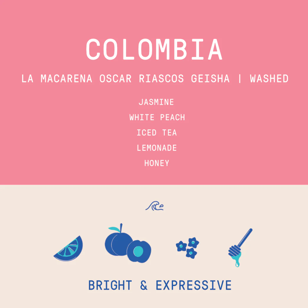 Colombia - La Macarena Oscar Riascos | Geisha Washed - Archived - Image 2