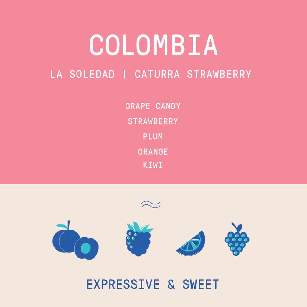 Colombia - La Soledad | Caturra Strawberry Washed - Archived - Image 2