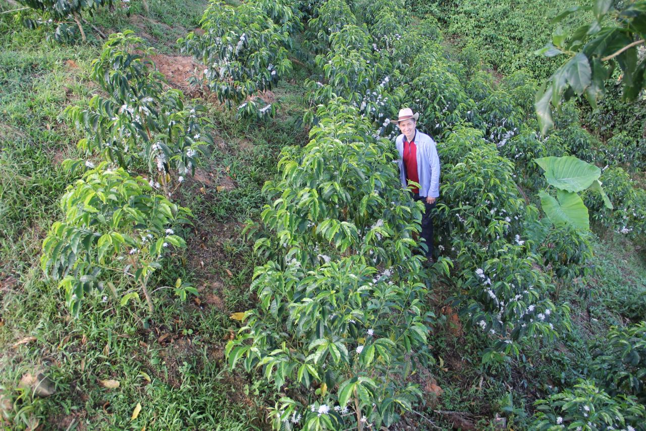 Colombia - La Soledad | Orange Bourbon Fermented Washed - Archived - Image 5