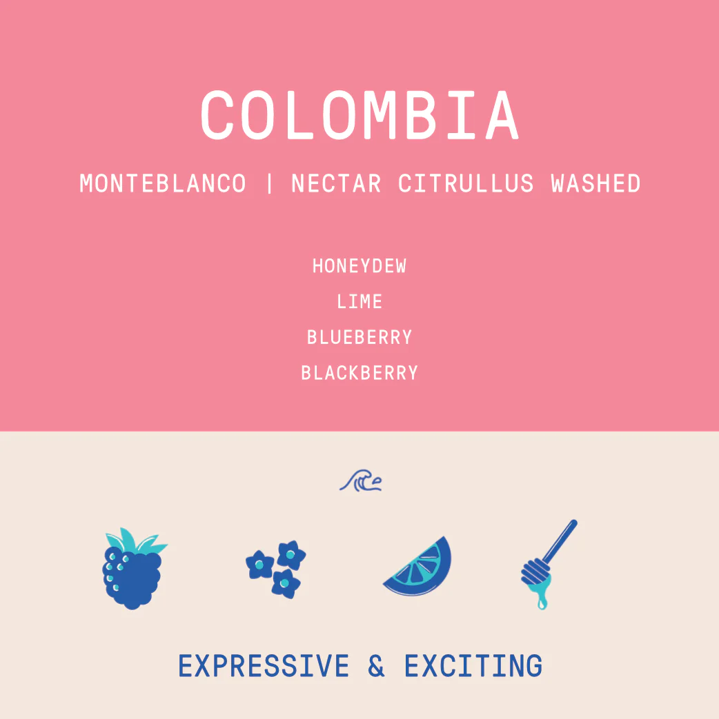 Colombia - Monteblanco Rodrigo Sanchez | Nectar Citrullus Co-ferment - Archived - Image 3