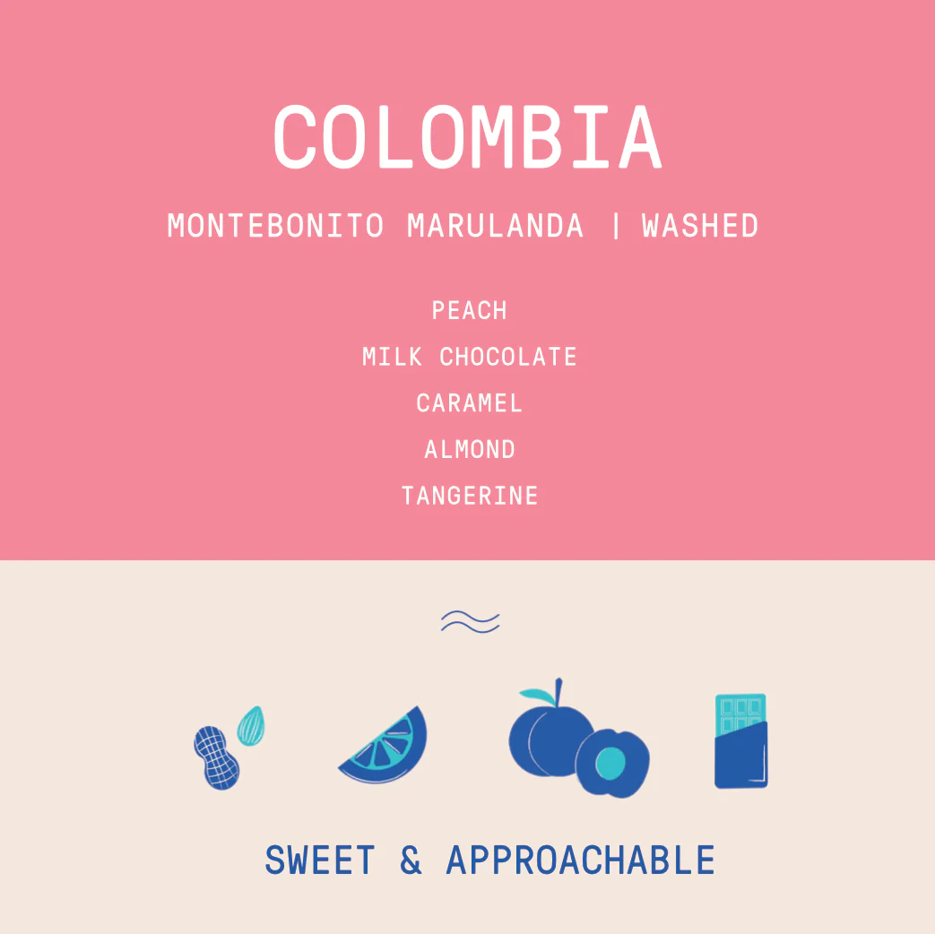 Colombia - Montebonito Marulanda | Washed - Archived - Image 2