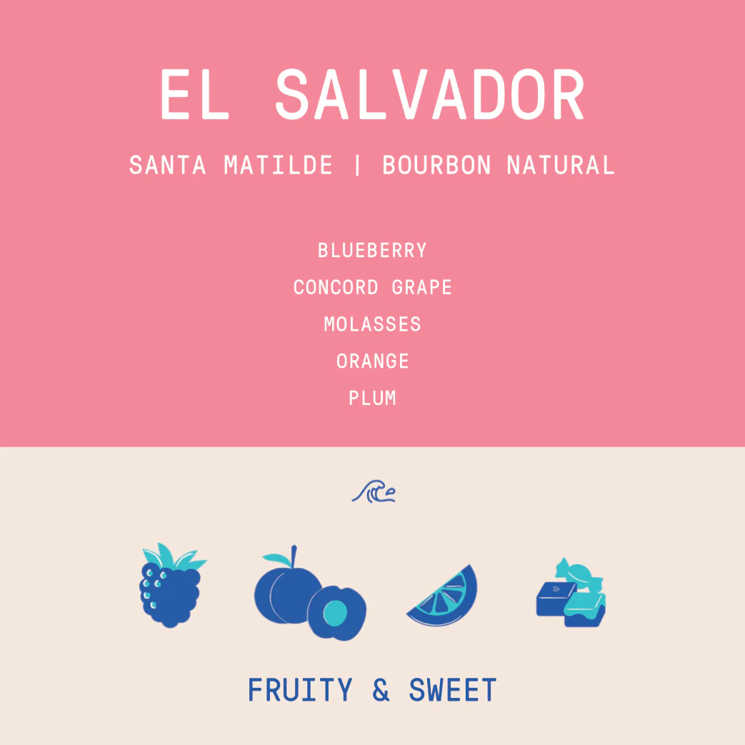 El Salvador - Santa Matilde | Bourbon Natural - Archived - Image 2
