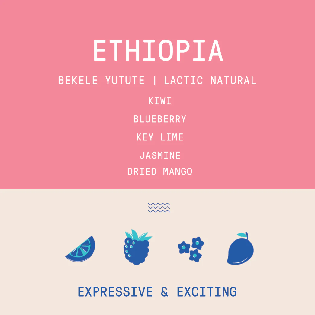 Ethiopia - Bekele Yutute | Lactic Natural - Archived - Image 2