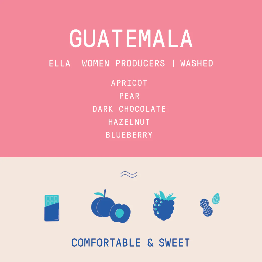 Guatemala - ELLA Women Producers | Washed - Image 2