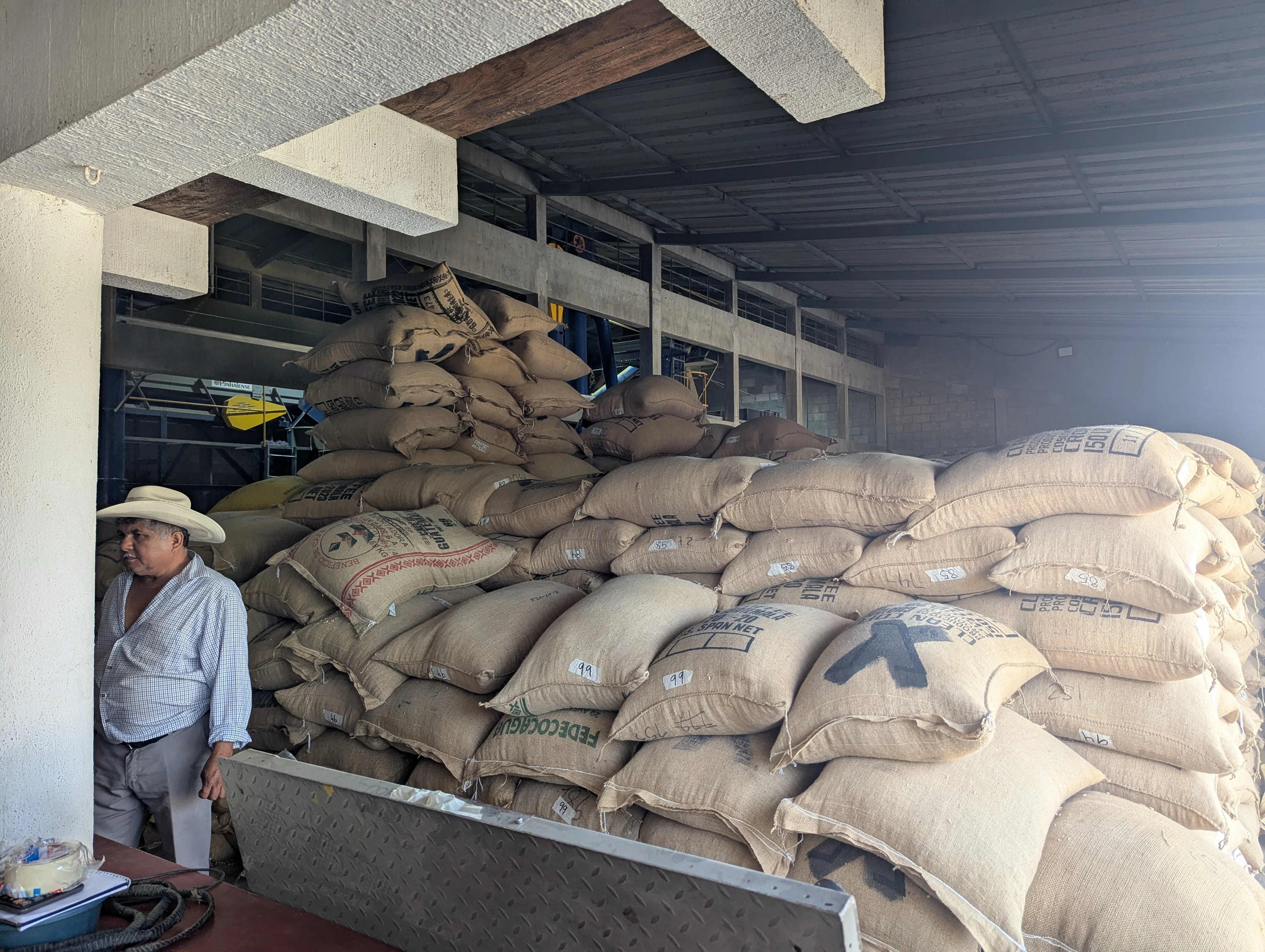 Guatemala - Huehuetenango Primavera Family Lot (2025) | Washed - Archived - Image 3