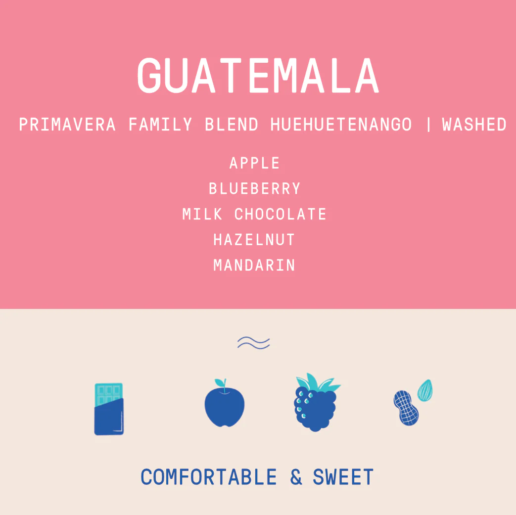 Guatemala - Huehuetenango Primavera Family Lot (2026) | Washed - Image 2