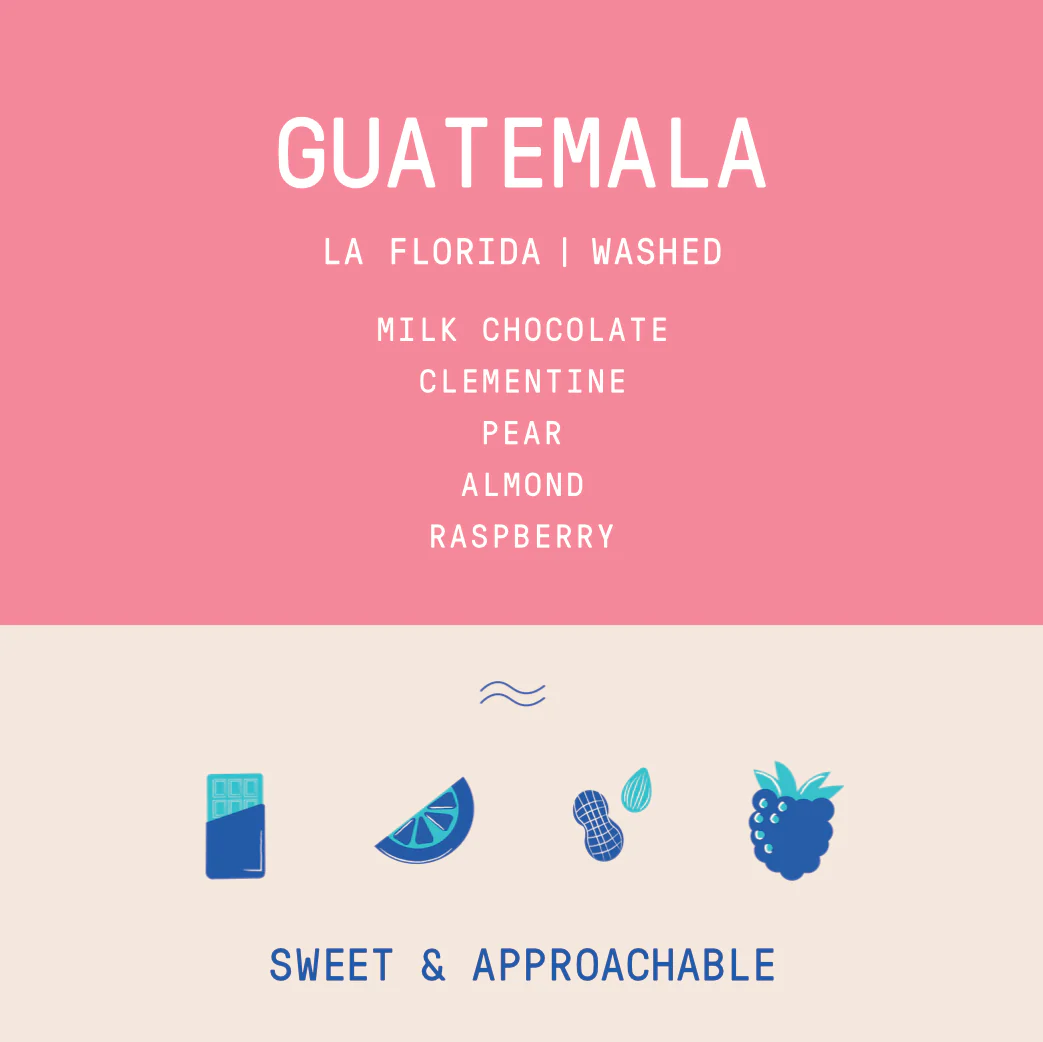 Guatemala - La Florida | Washed - Archived - Image 2