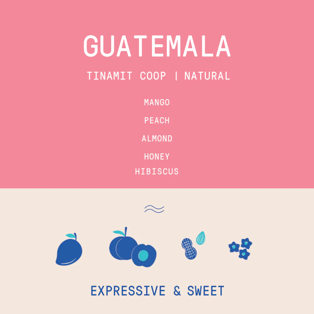 Guatemala - Tinamit Coop | Natural - Archived - Image 2
