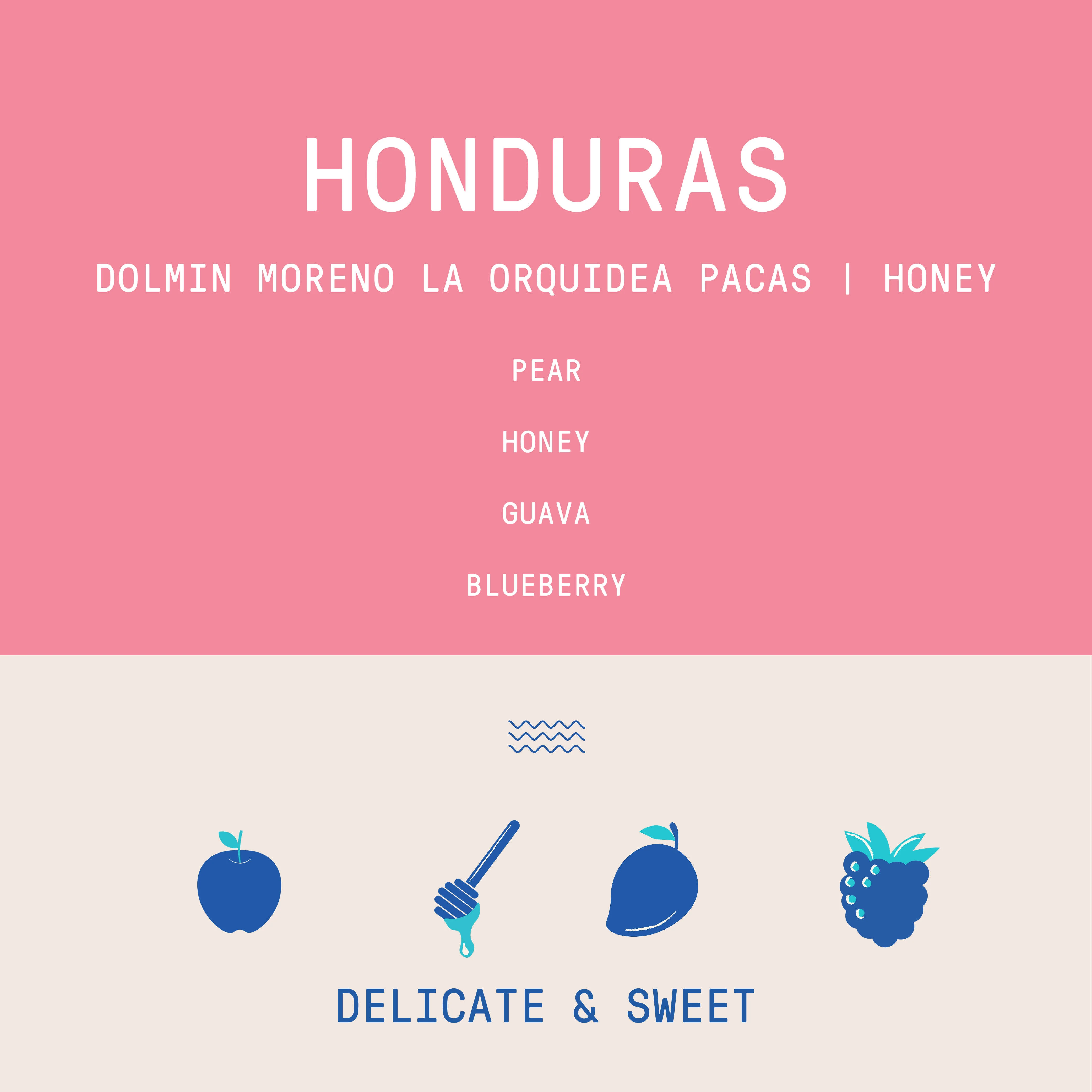 Honduras - Dolmin Moreno - La Orquidea Pacas | Honey - Archived - Image 2
