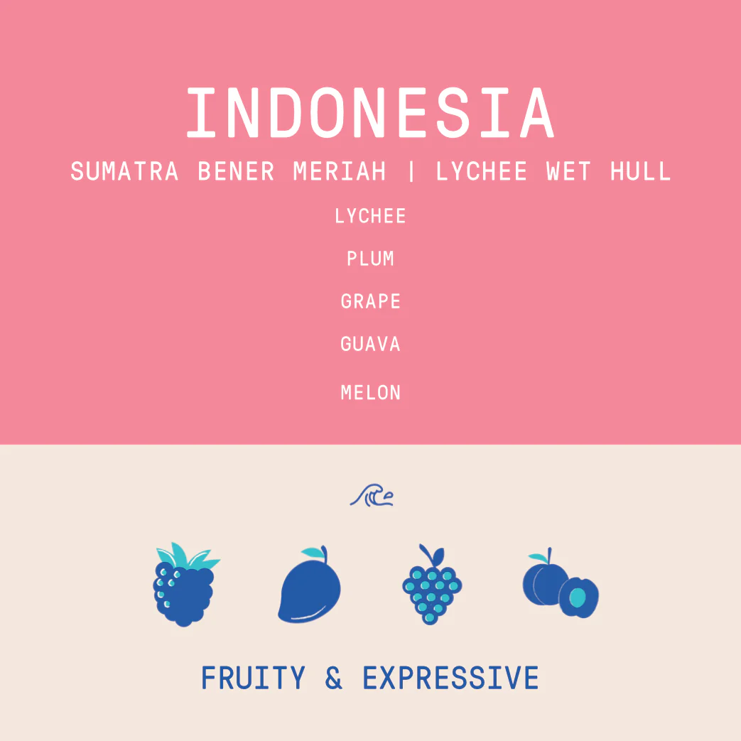 Indonesia - Sumatra Bener Meriah | Lychee Coferment Wet Hull - Archived - Image 2