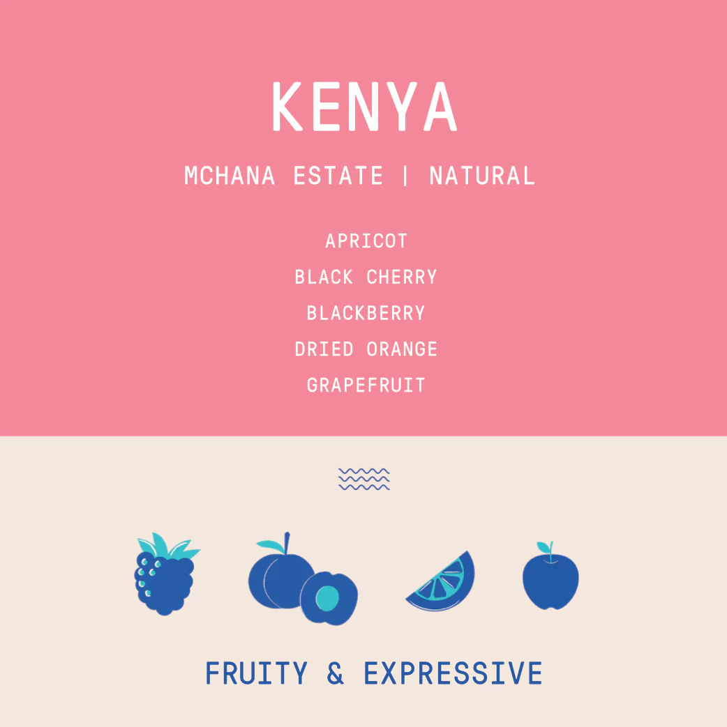 Kenya - Mchana Estate | Natural - Archived - Image 2