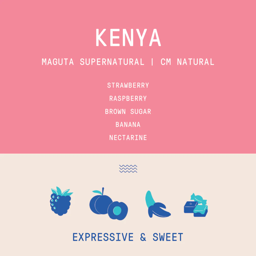 Kenya - Project Origin Maguta Estate Supernatural Lot 172 | CM Natural - 100g  Archived - Image 2