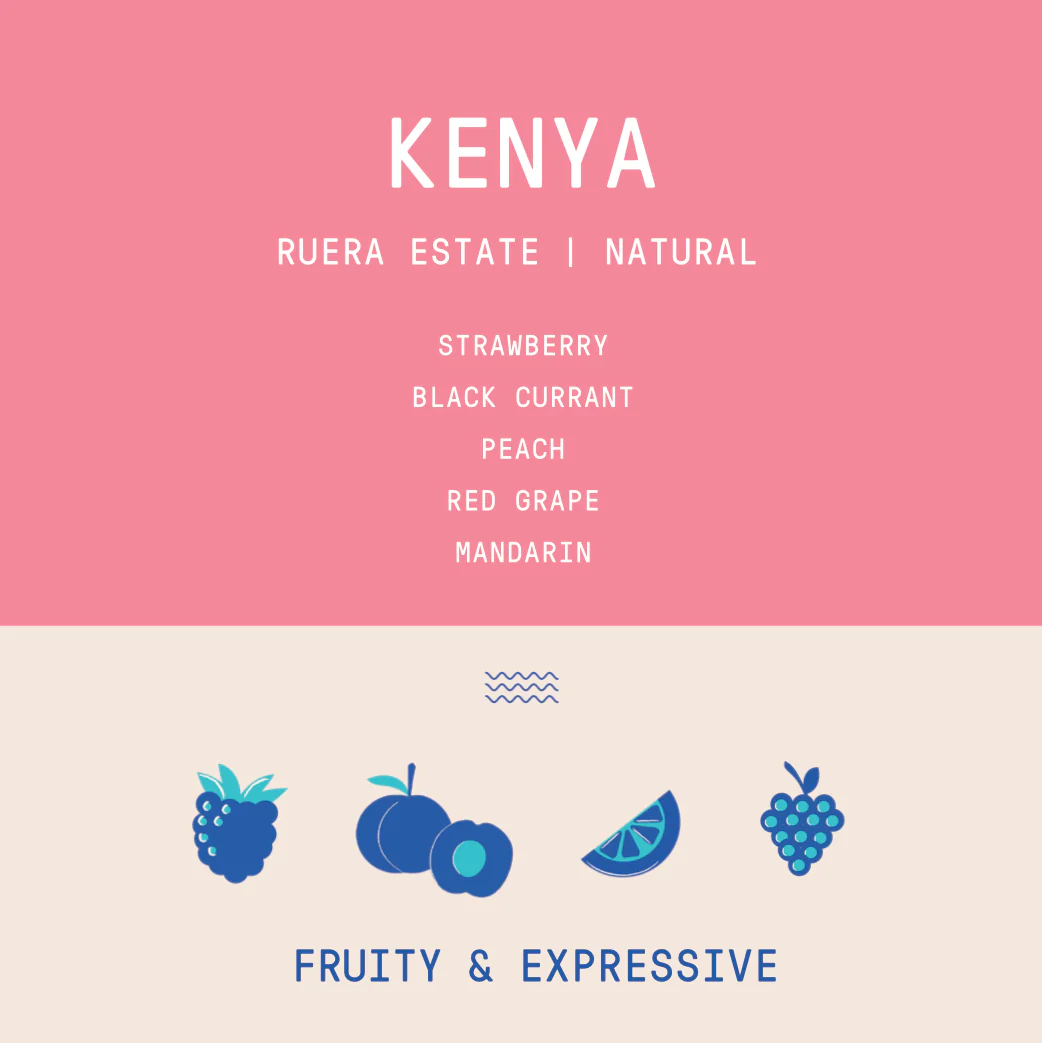 Kenya - Ruera Estate | Natural - Archived - Image 2