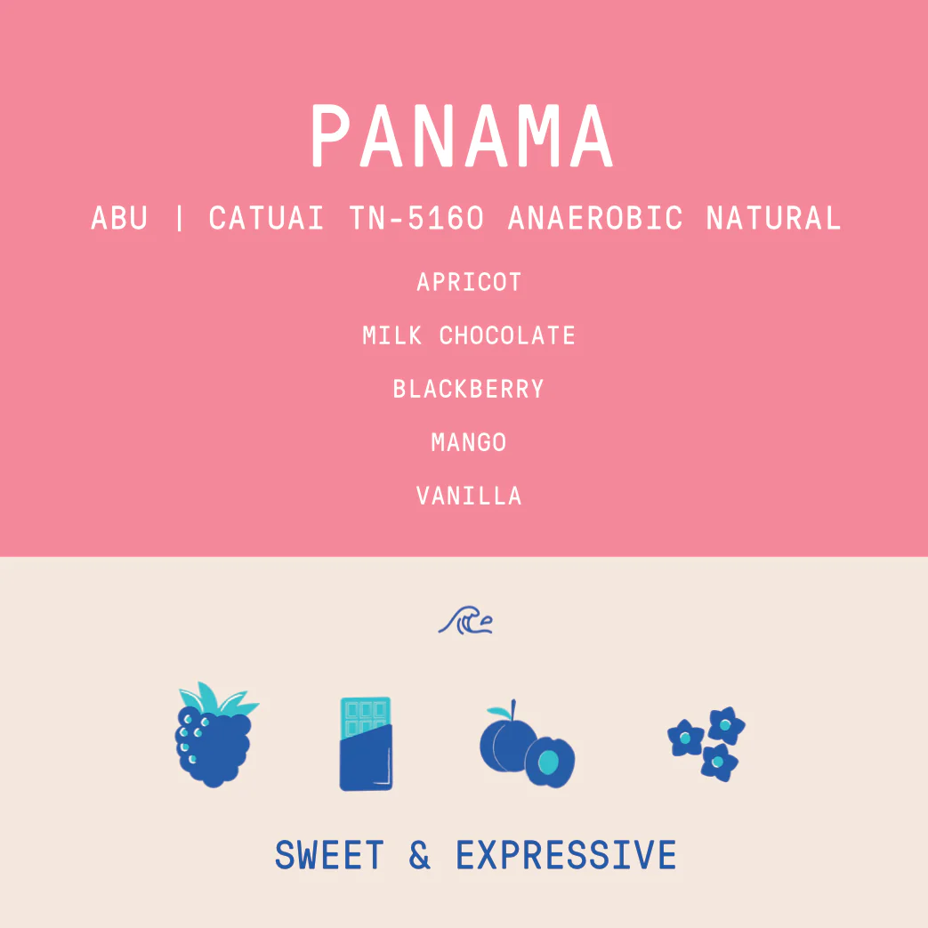Panama - Abu Catuai TN-5160 | Re-Hydro Double Phased Anaerobic Natural - 200g - Archived - Image 2