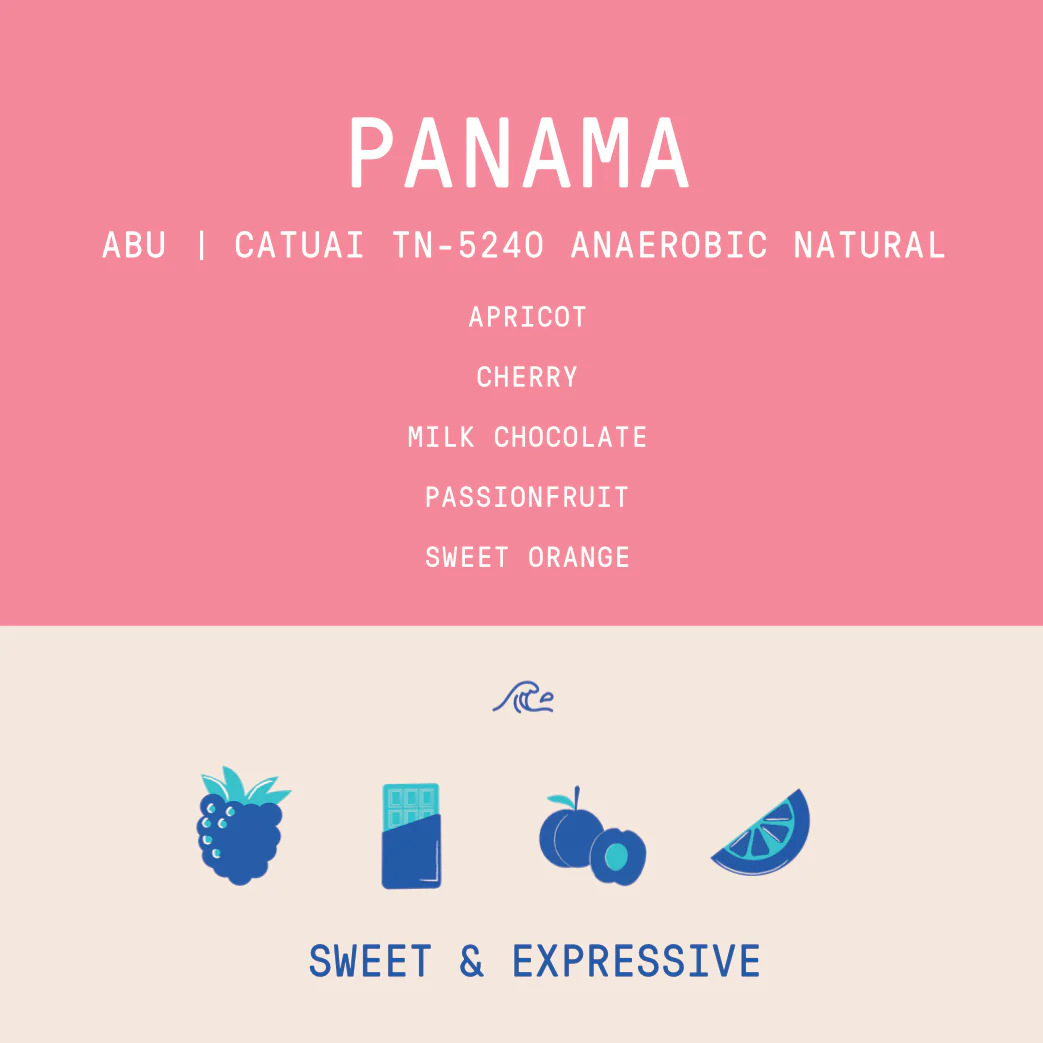 Panama - Abu Catuai TN-5240 | Re-Hydro Double Phased Anaerobic Natural - 200g - Archived - Image 2