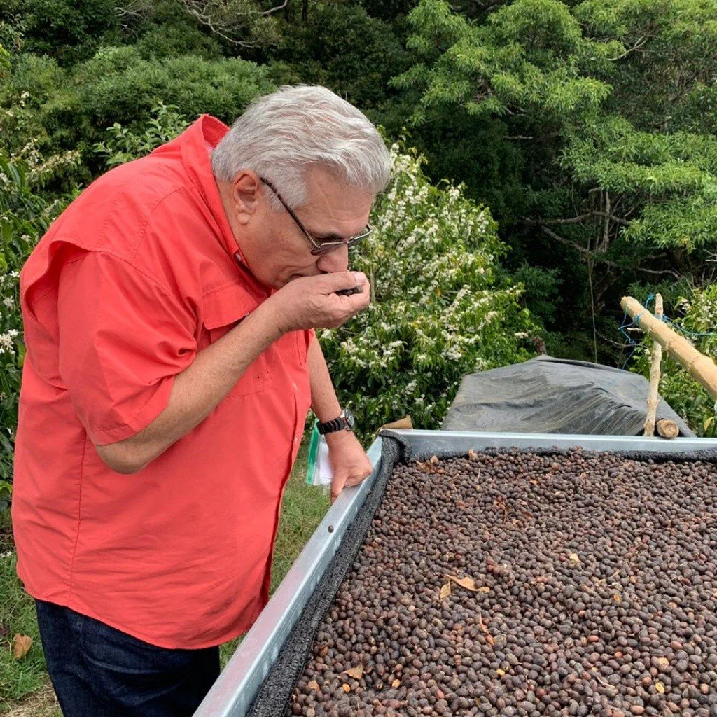 Panama - Altieri Chombi Geisha | Dry Fermentation Cold Natural - 100g - Archived - Image 5