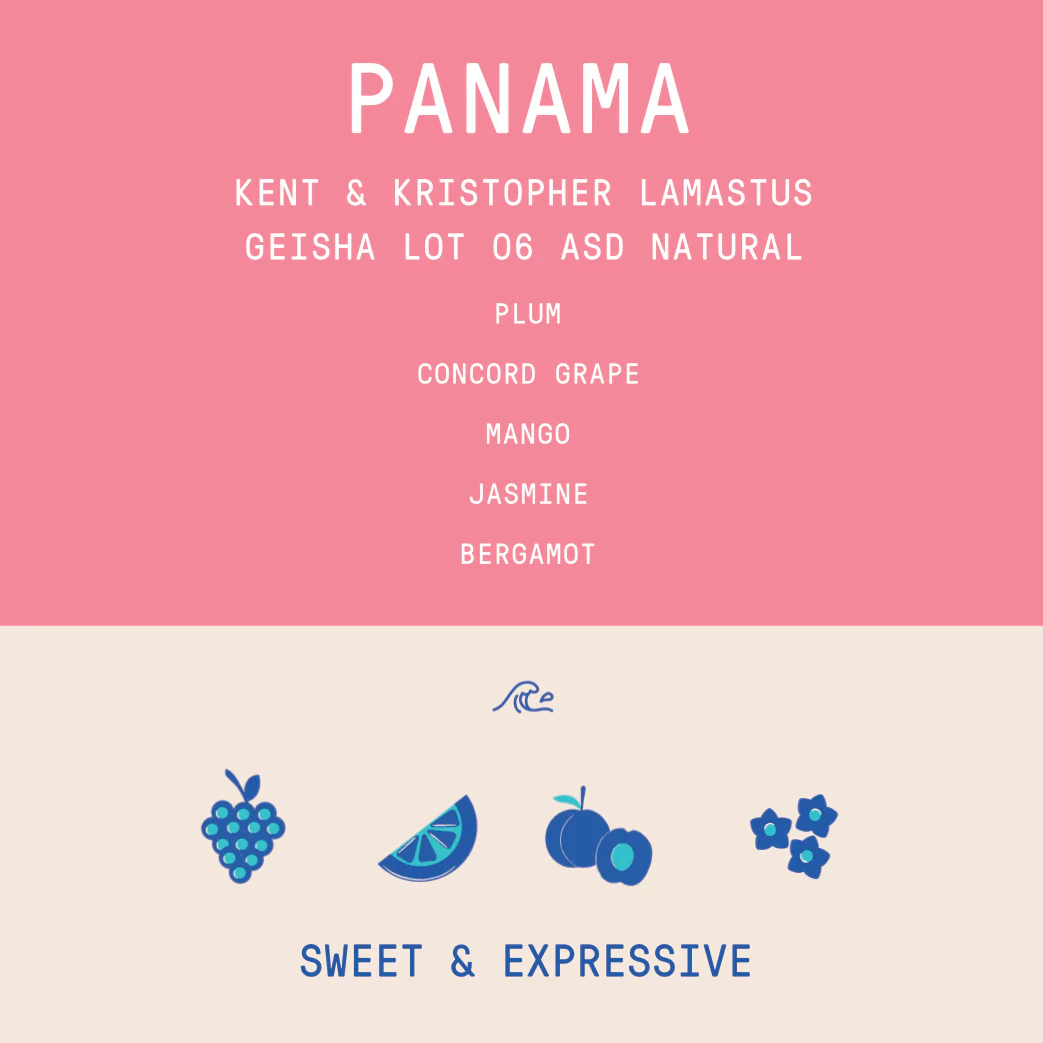 Panama - Kent and Kristopher Lamastus - Geisha Lot 06 | ASD Natural - 100g - Archived - Image 2