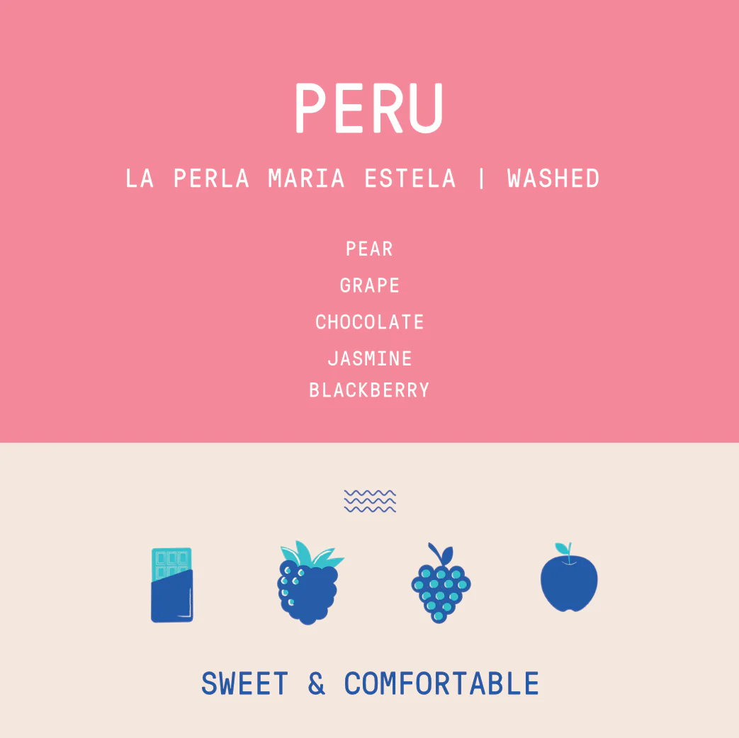 Peru - Maria Estela La Perla Yellow Caturro | Washed - Image 2
