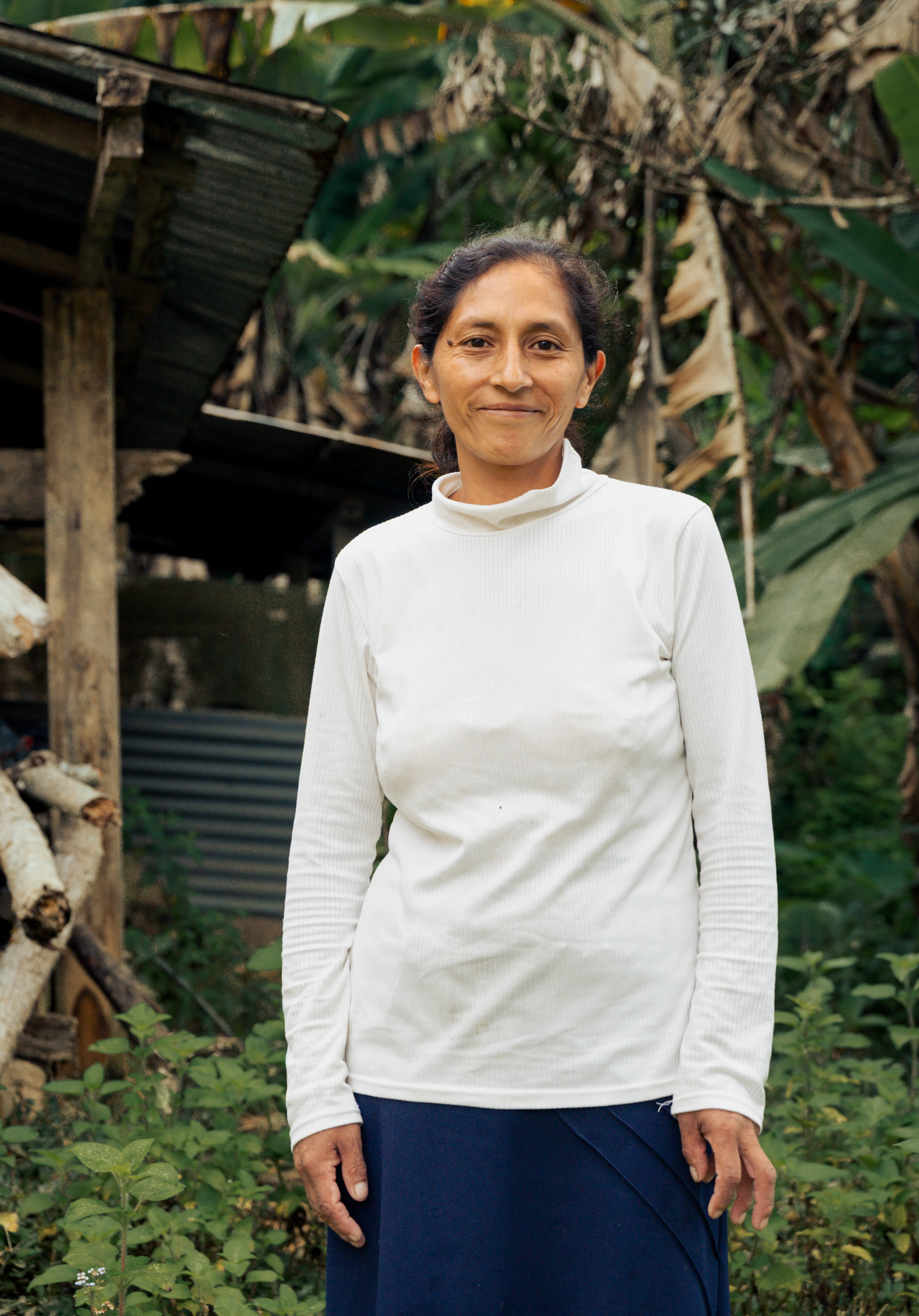 Peru - Maria Estela La Perla Yellow Caturro | Washed - Image 3