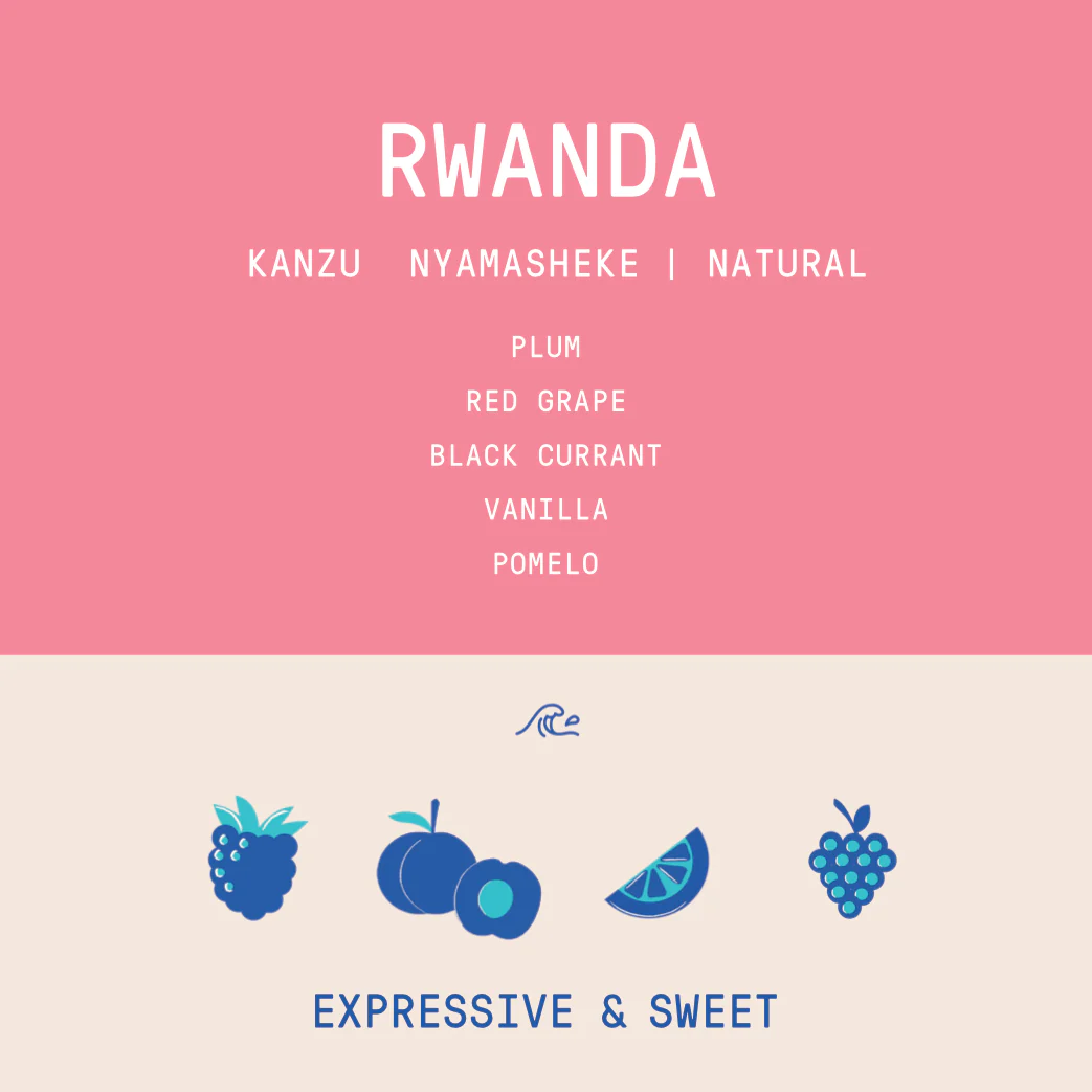 Rwanda - Kanzu Lot 4 | Natural - Archived - Image 2