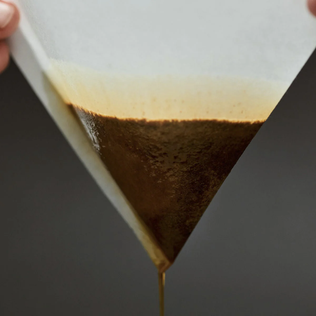 SIBARIST - CONE | FAST Paper Filter - Image 3