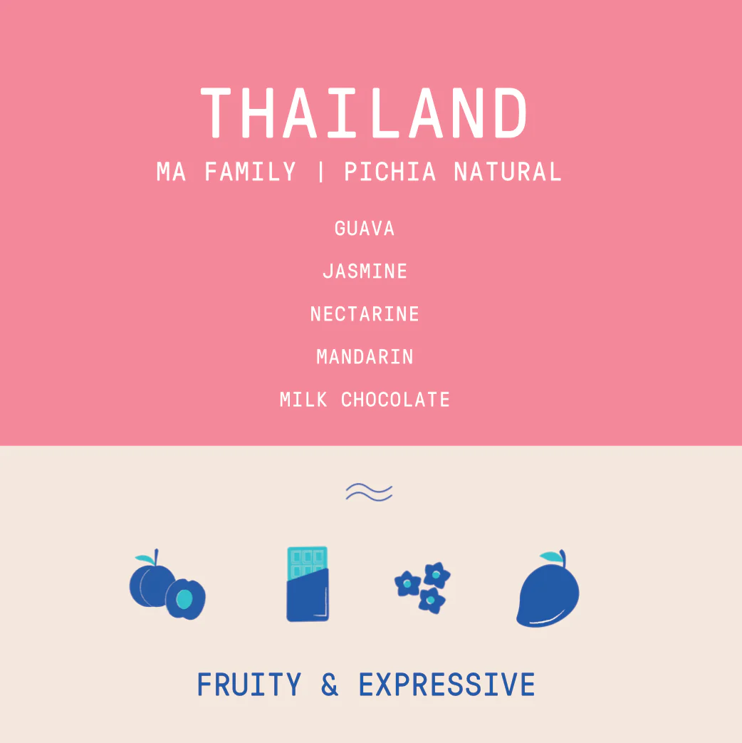 Thailand - Ma Family | Pichia Anaerobic Natural - 23 bag Nano Lot  - 100g - Archived - Image 2